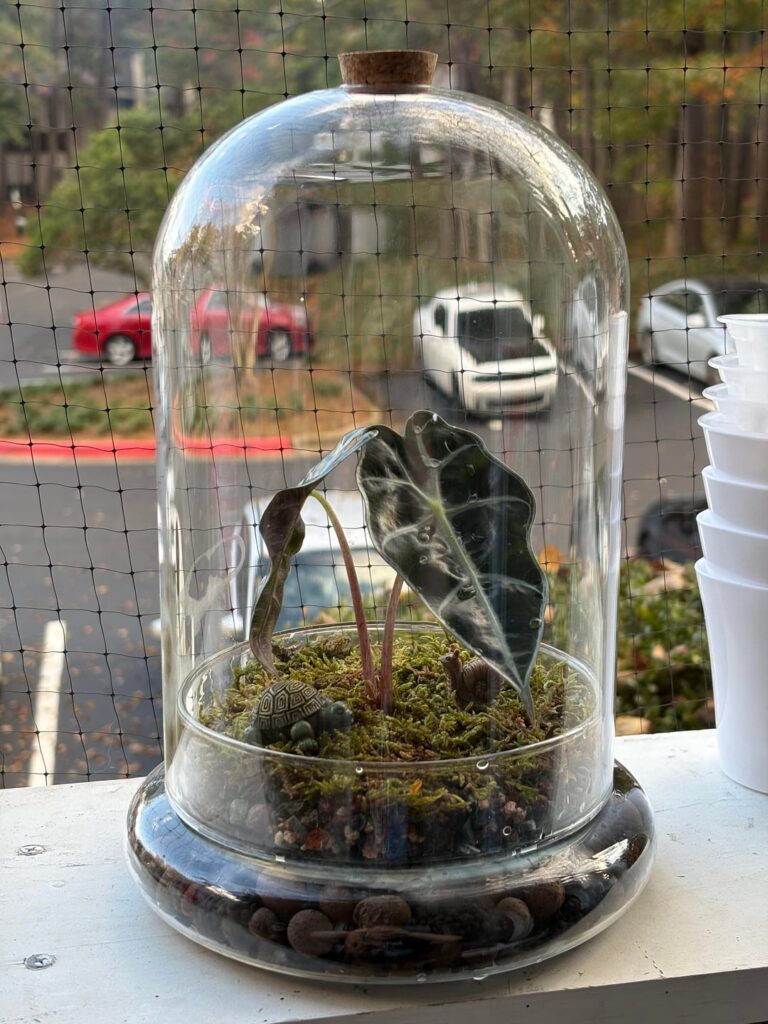 First Time!! How did I do?