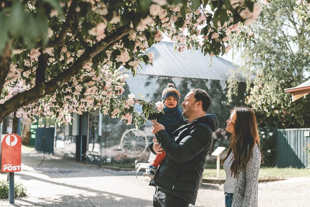 Mirboo North open gardens | Latrobe Valley Express Mirboo North open gardens | Latrobe Valley Express