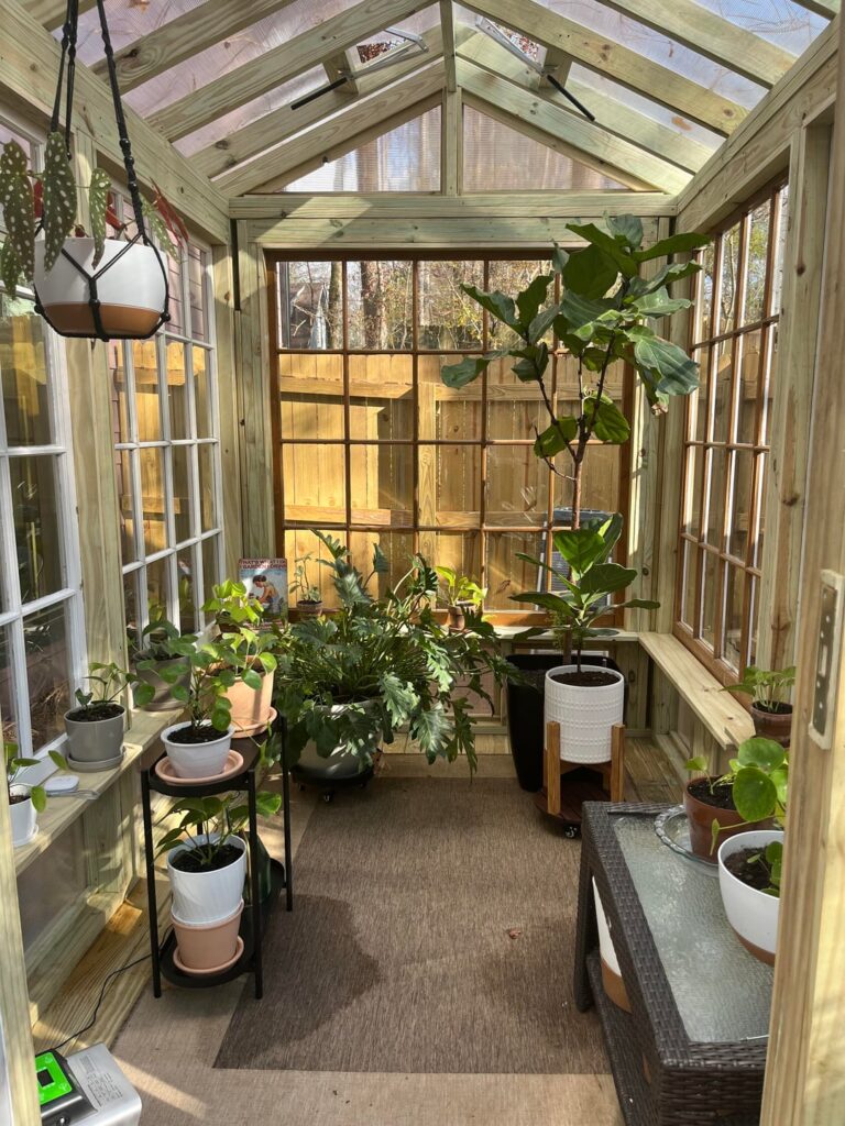 So excited about my new greenhouse to keep my houseplants alive over the winter!