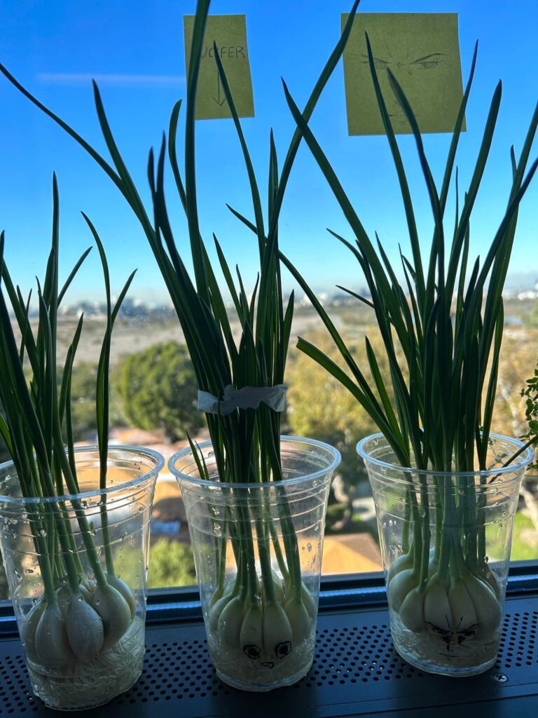 Water prop wrinkling? :( Water prop wrinkling? :(