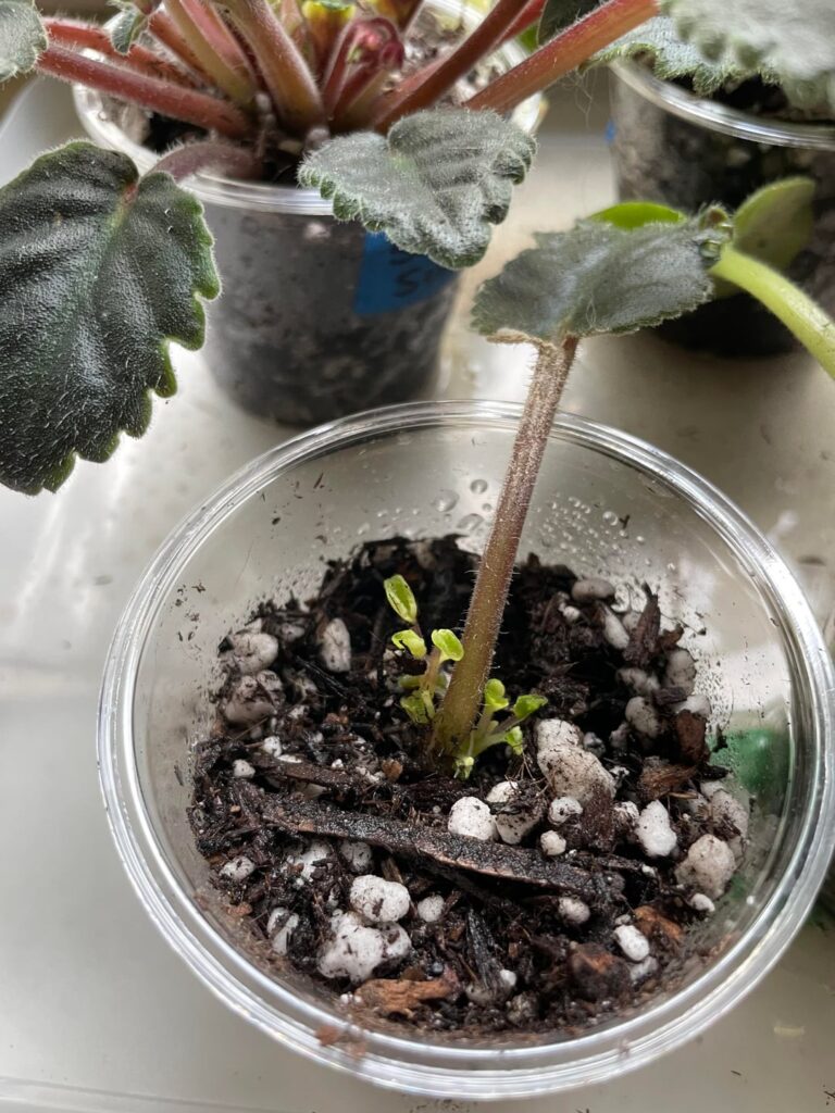 Prop. Box beginner questions