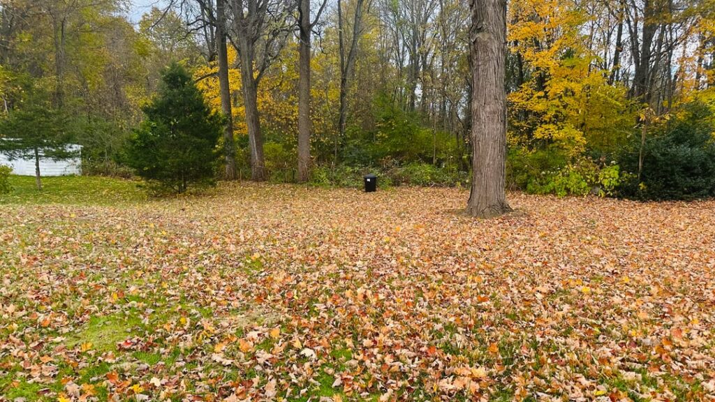 Should I buy a lawn sweeper or just mow over the leaves?