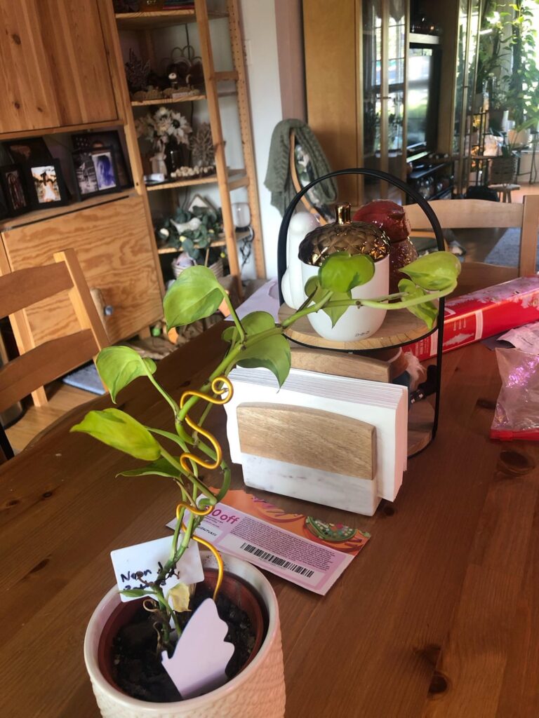 Tips for training baby plants to climb?