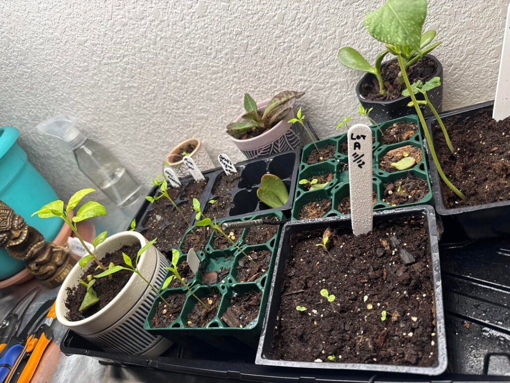 Horticulture program at 43