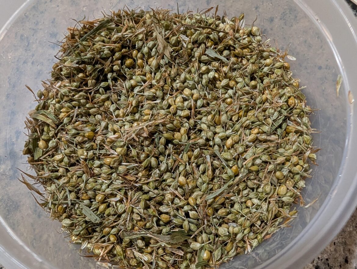 how much seed do I have?