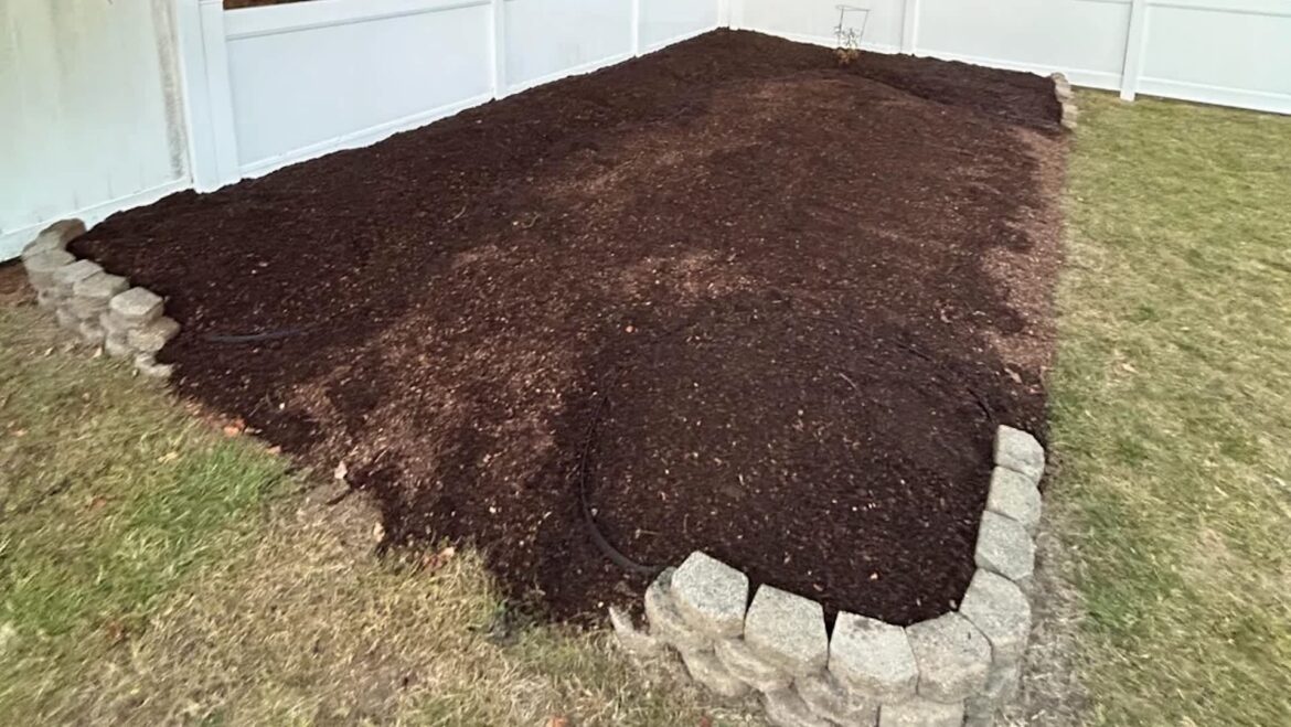 Proud homeowner shares photos after transforming boring lawn: ‘Looks very nice’ One Redditor shared how they turned their traditional lawn into a native plant garden, reducing water use and supporting pollinators.