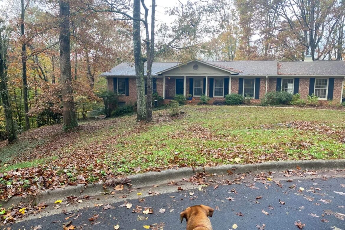 One Redditor shared the incredible transformation of their lawn into a natural, native paradise.