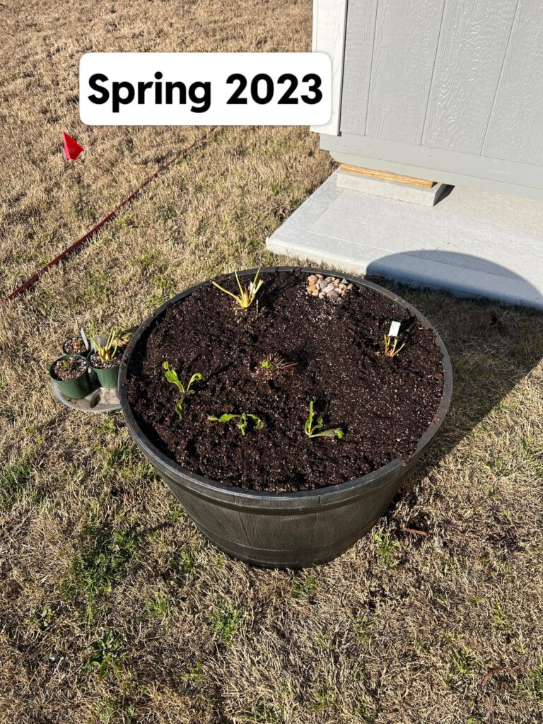 Big enough for now I guess 😅 Big enough for now I guess 😅