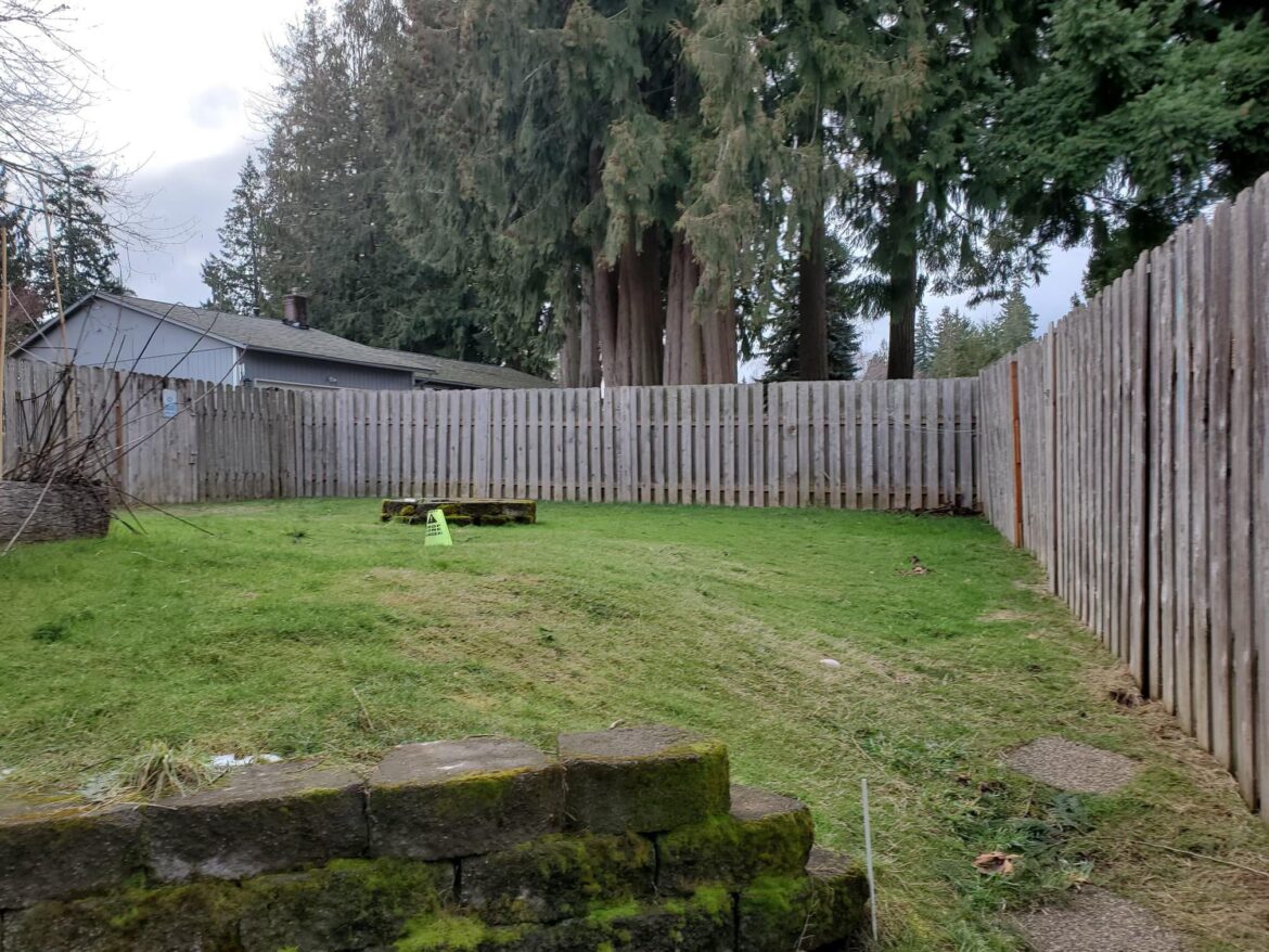 Big ol’ PNW lawn - tips?