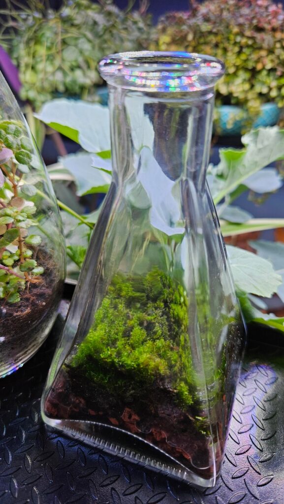 Flea market bottle Flea market bottle