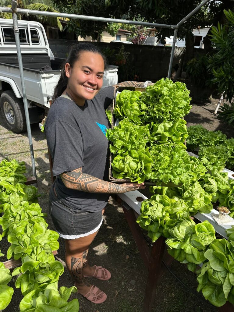 Hydroponic in Tahiti