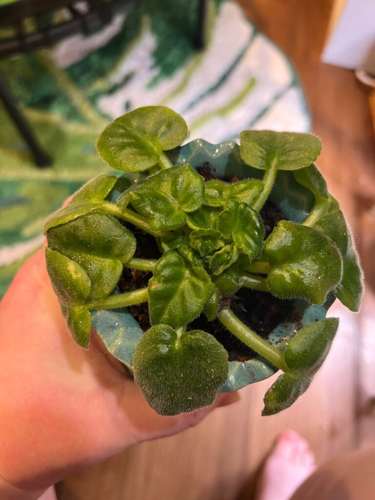 What’s happening here?