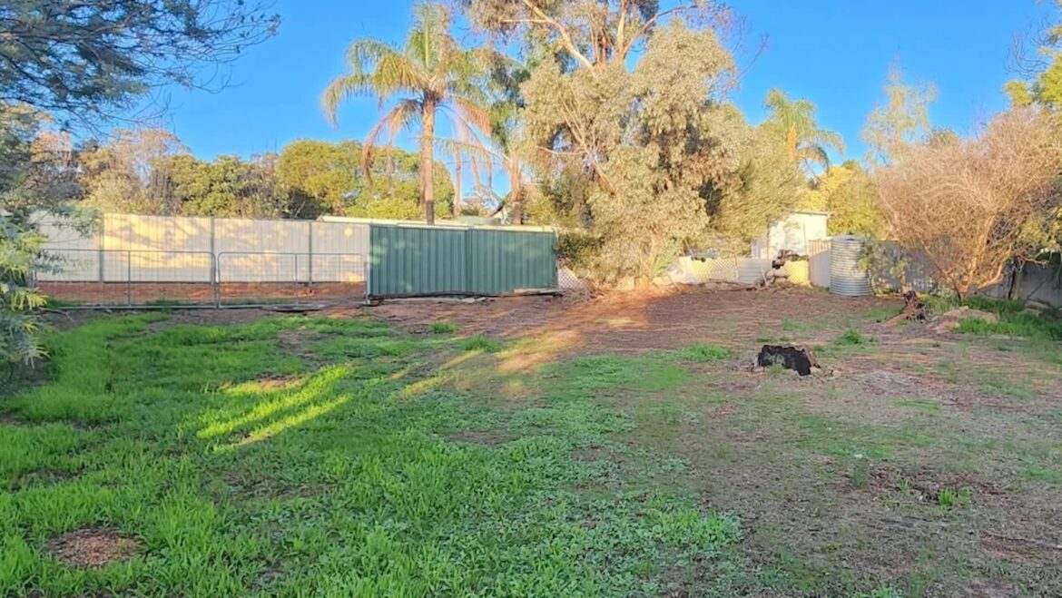 Homeowner shares before-and-after photos of stunning yard transformation: ‘It’s been a journey’ One homeowner shared the three-year transformation of their home's garden, where they planted the no-lawn garden of their dreams.