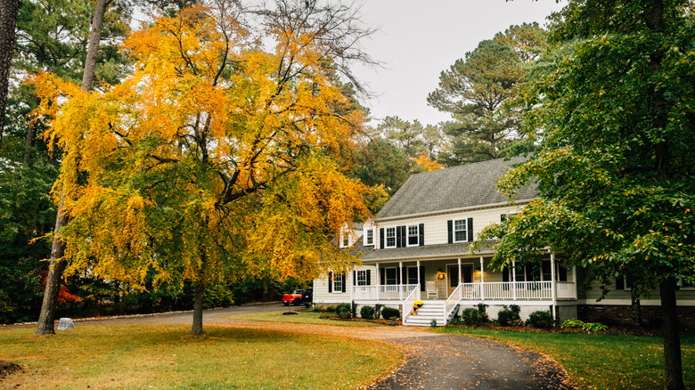 Late fall foliage in front of a white house