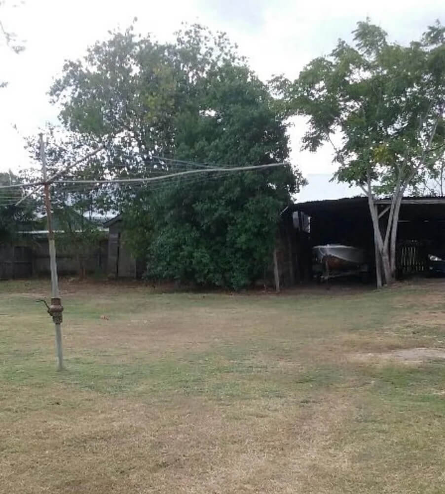 One Australian gardener has the internet buzzing after sharing jaw-dropping before-and-after photos of their yard — a once-plain patch of grass that's now a lush native paradise.
