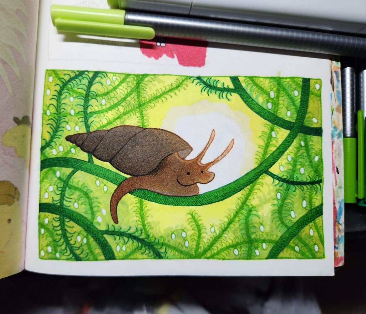 I drew the pond snail that lives in the jar on my desk :D I drew the pond snail that lives in the jar on my desk :D