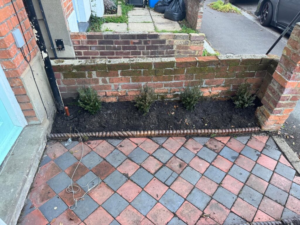 First try at planting a hedge (English Yew). How is the spacing? Does it have enough depth? First try at planting a hedge (English Yew). How is the spacing? Does it have enough depth?