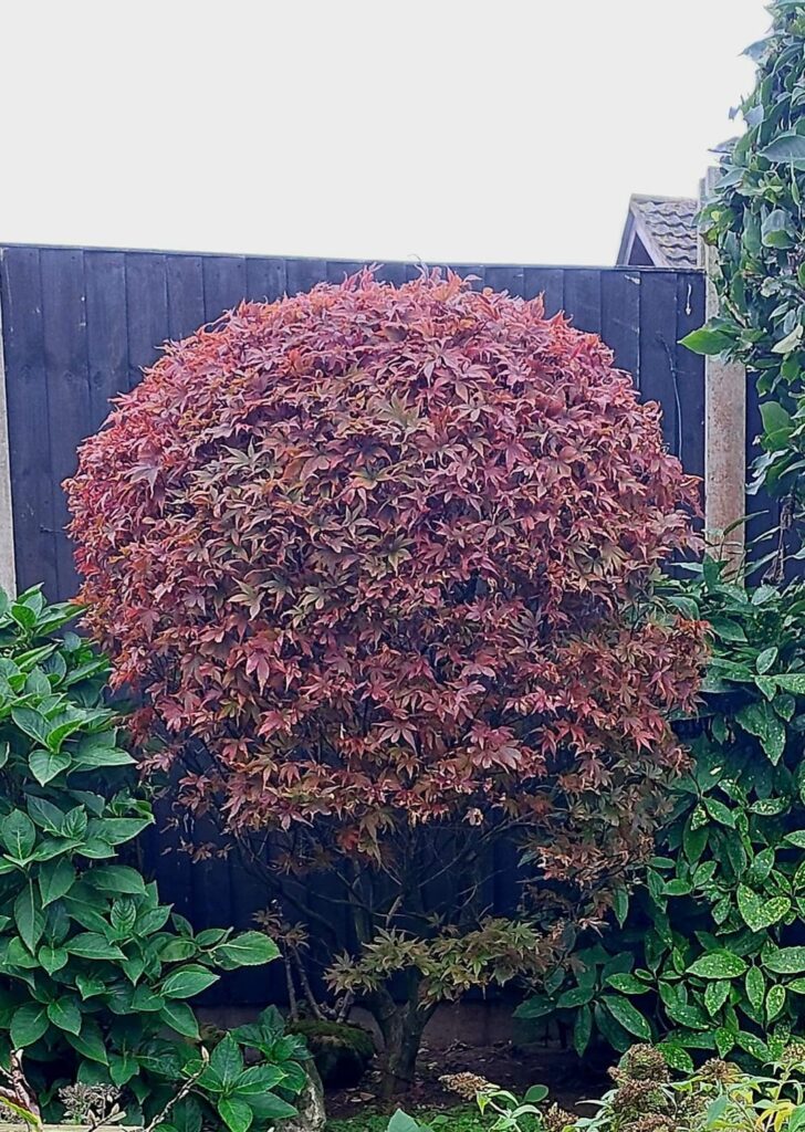 This time of year....