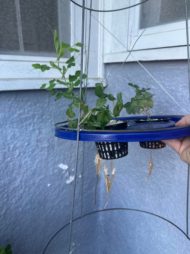 What’s going wrong, and what can I do?