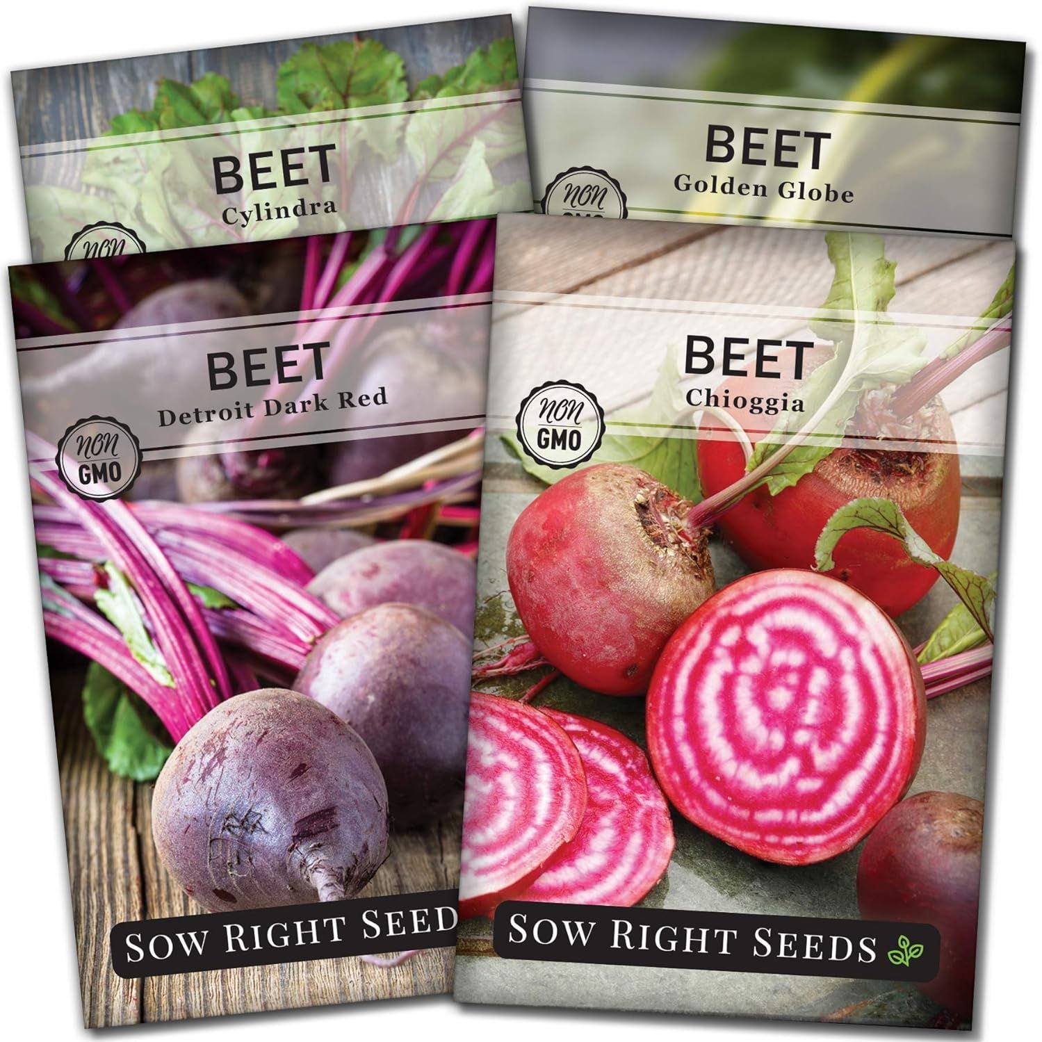 Sow Right Seeds - Beet Seeds for Planting - Detroit Dark Red, Golden Globe, Chioggia &amp; Cylindra Varieties - Non-Gmo Heirloom Seeds to Plant Home Vegetable Garden - Great Gift for Friends and Family