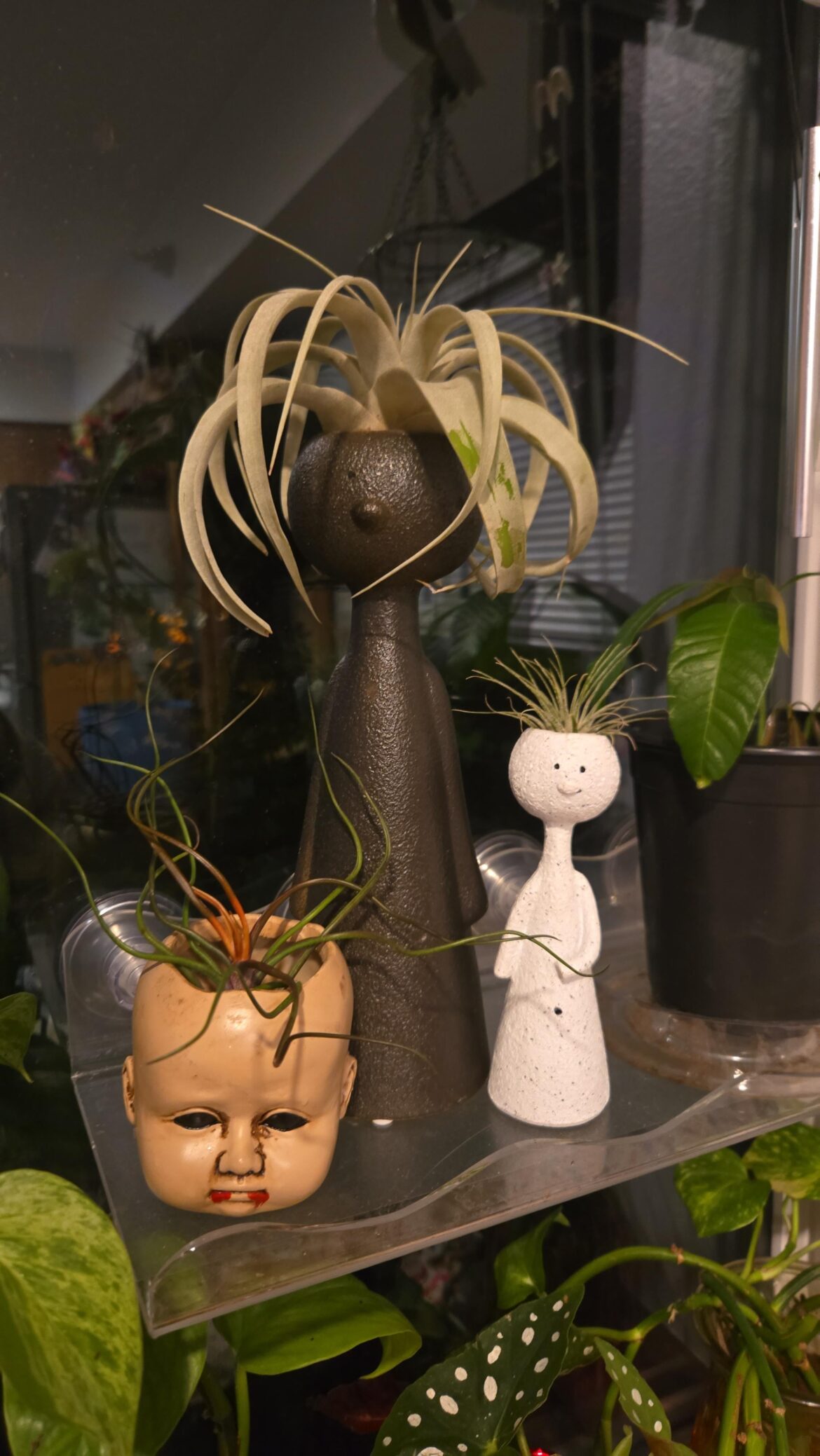 Small collection, but i love them :)