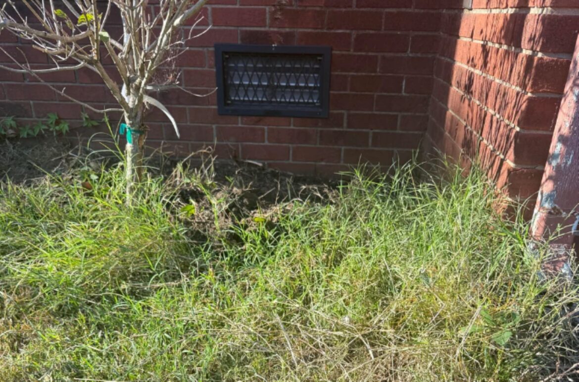 New homeowner met with warnings against repeating major mistake made by previous owners: ‘A nightmare’ This Redditor needed advice on how to deal with crabgrass after they removed landscape fabric from their flower bed.