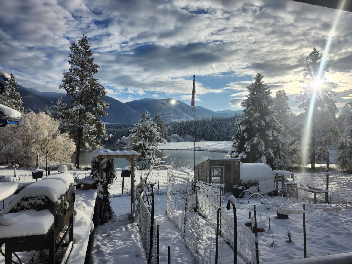 Winter has finally shown up here