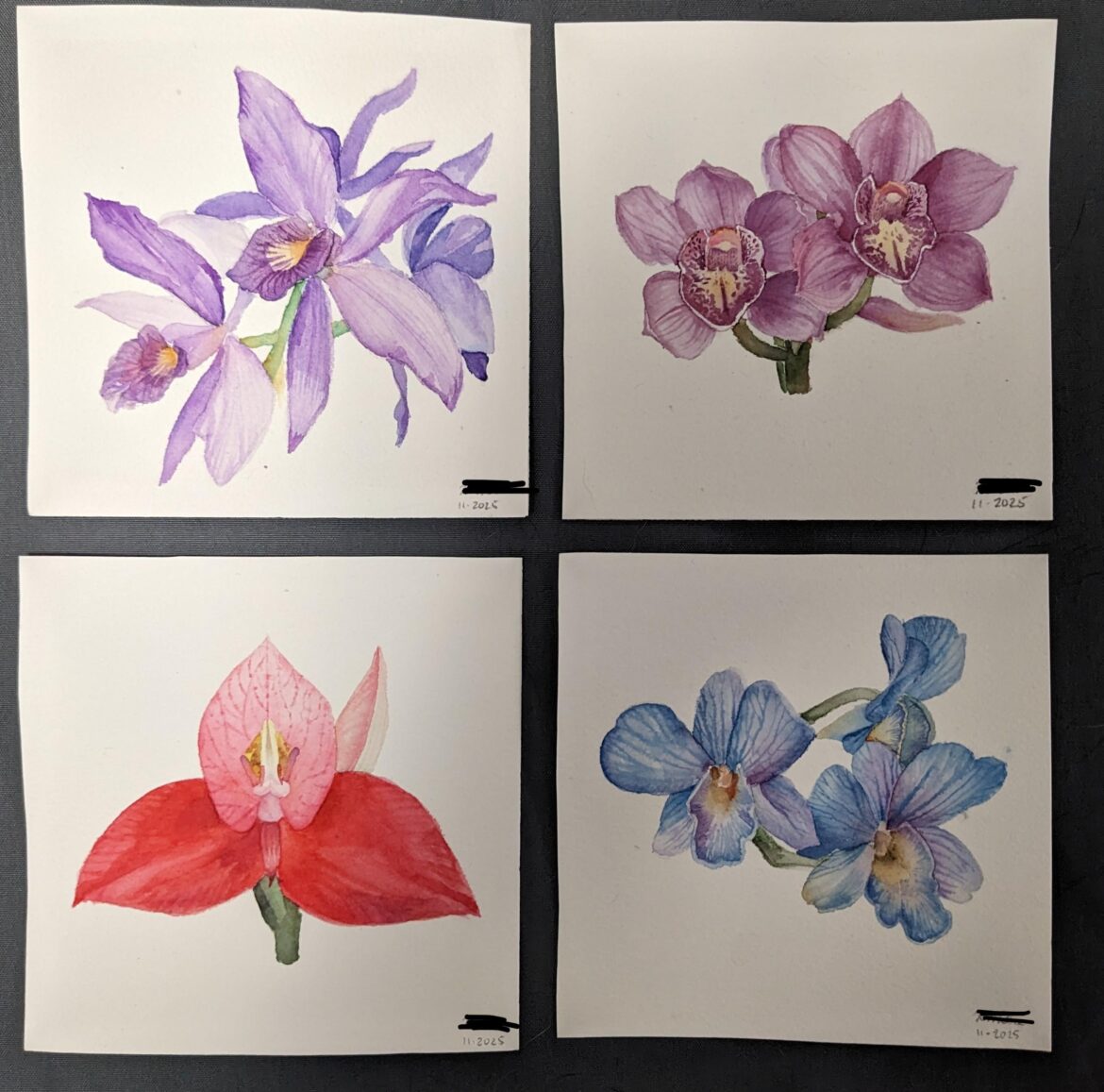 I learned watercolour so I could paint orchids