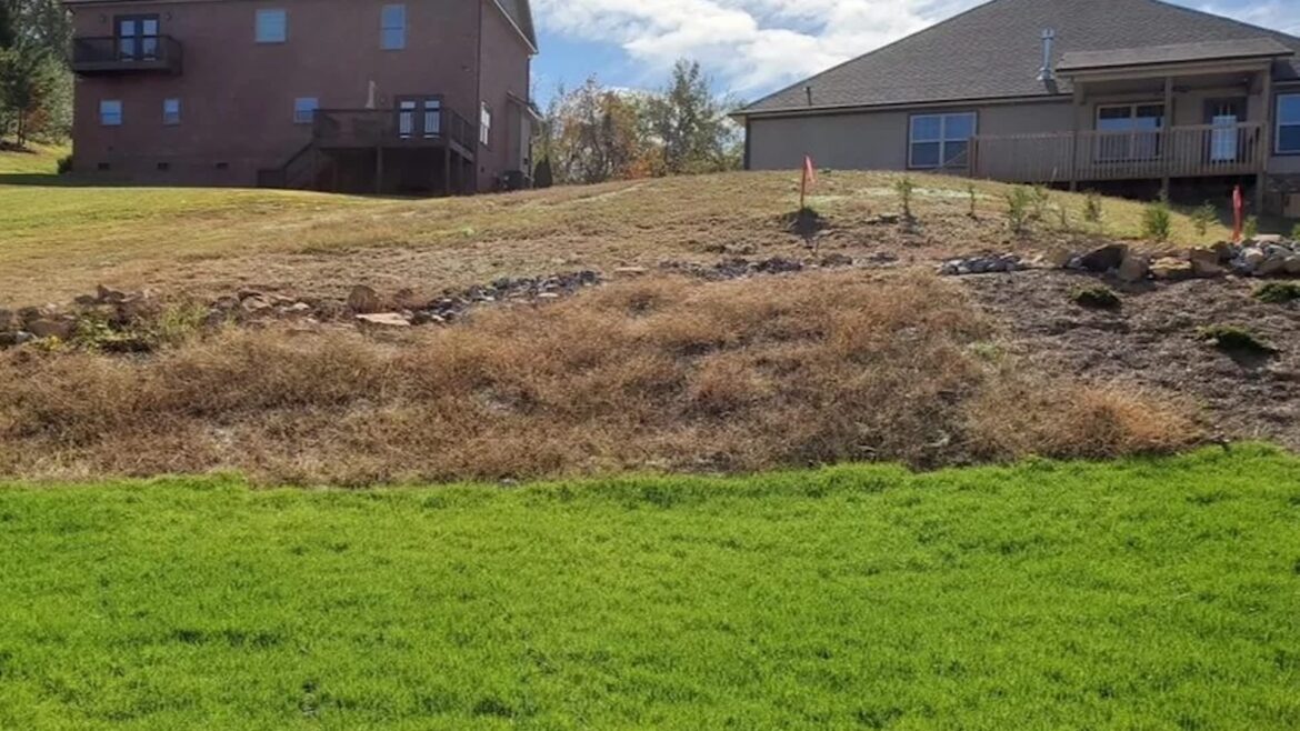 One new gardener's inspiring transformation of a barren backyard ended up creating a beautiful pollinator garden.