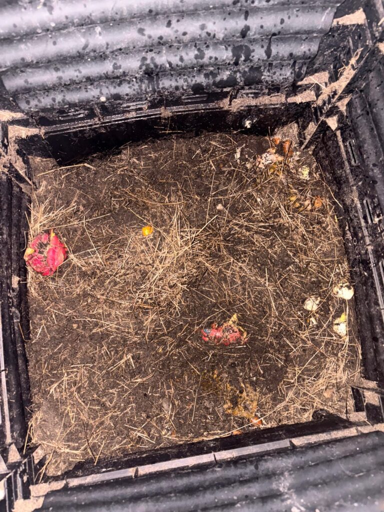 Big bin, and worm bin.