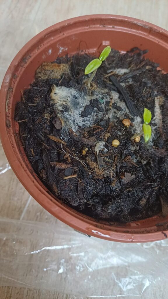 Please help me 😭😭 Please help me 😭😭