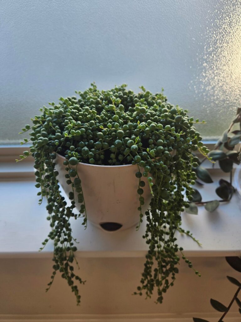 Two years of growth