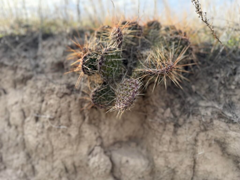 ID Help with this Cutting