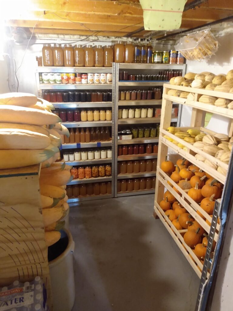 The cellar