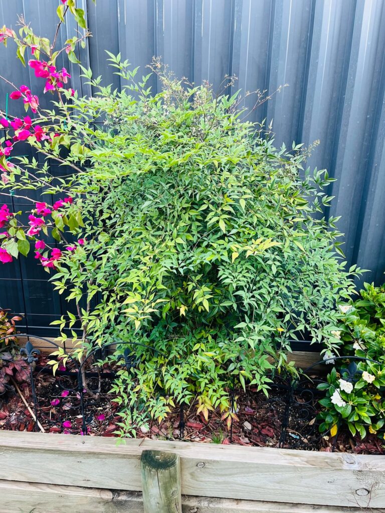 How can I get rid of them? How can I get rid of them?
