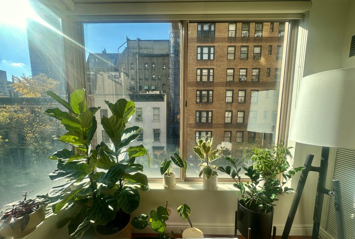 My favorite part of the apartment