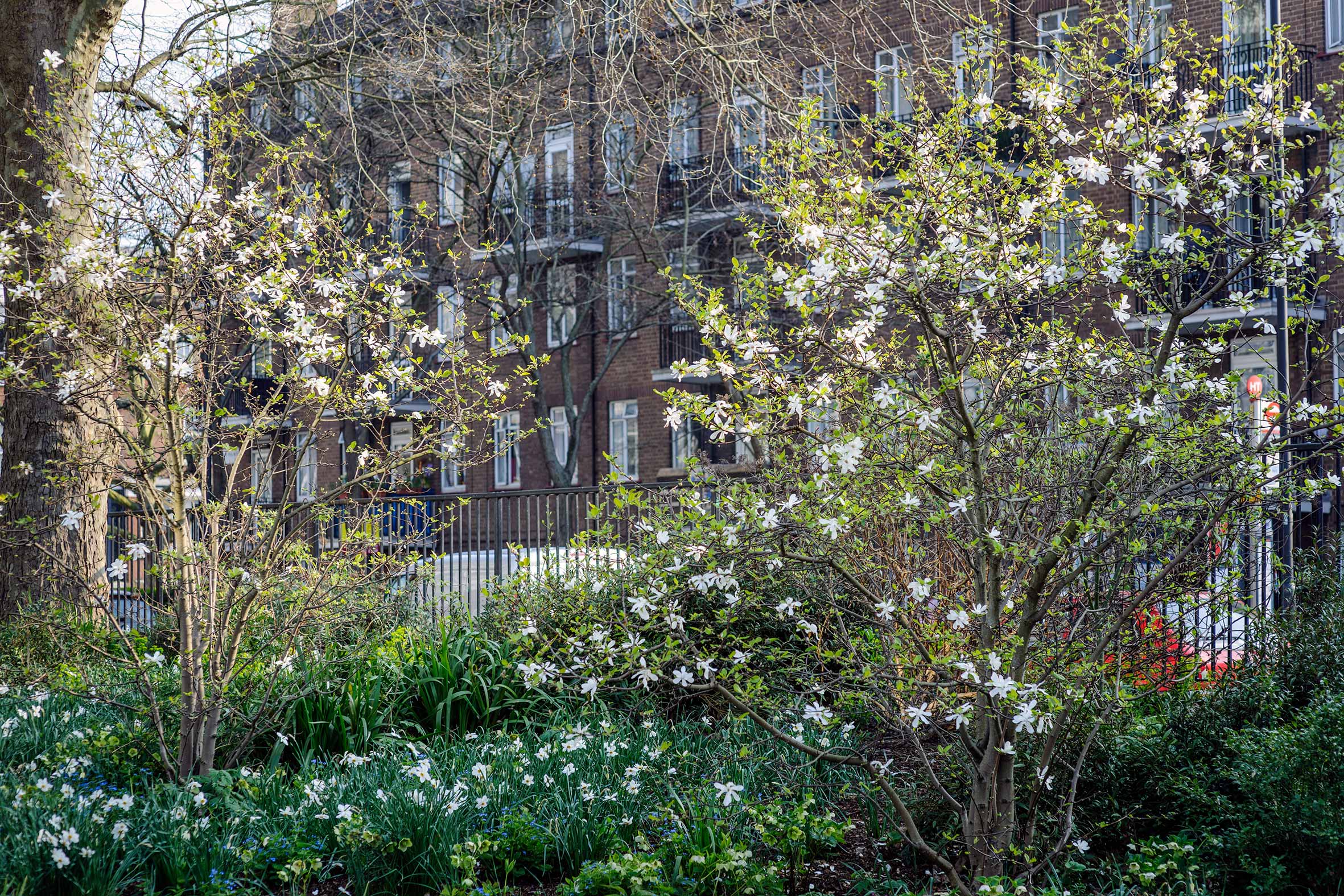 Maggie's West London, an orange structure and its mature garden