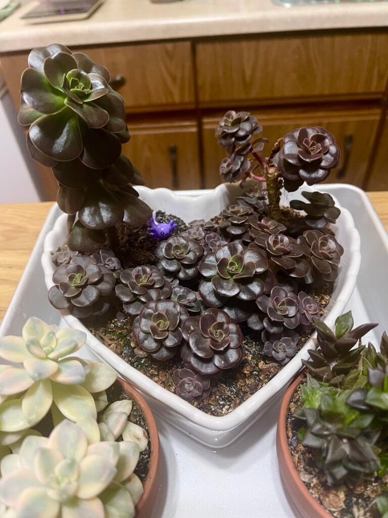 Just wanted to show progress