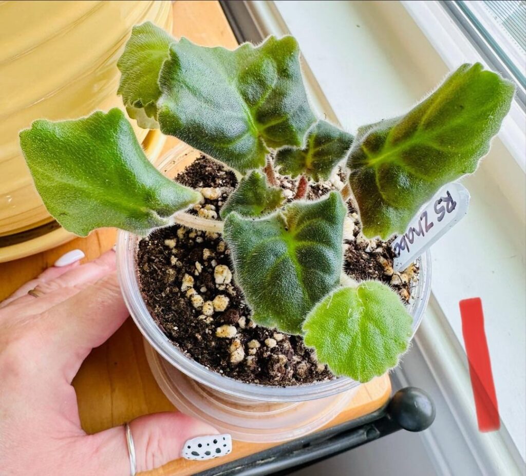 1 month difference..💚🤗