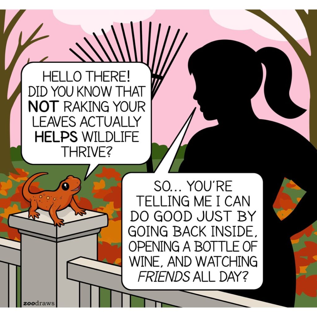 Leave the leaves [oc]