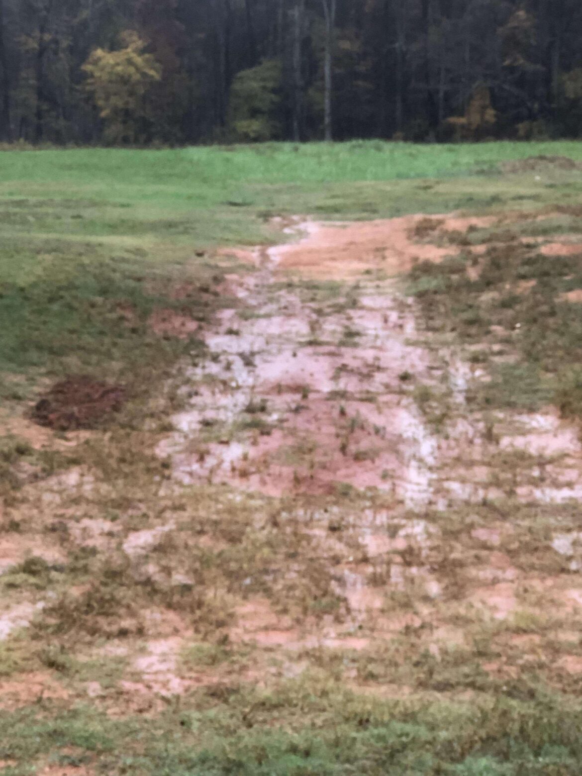 How to minimize flooding