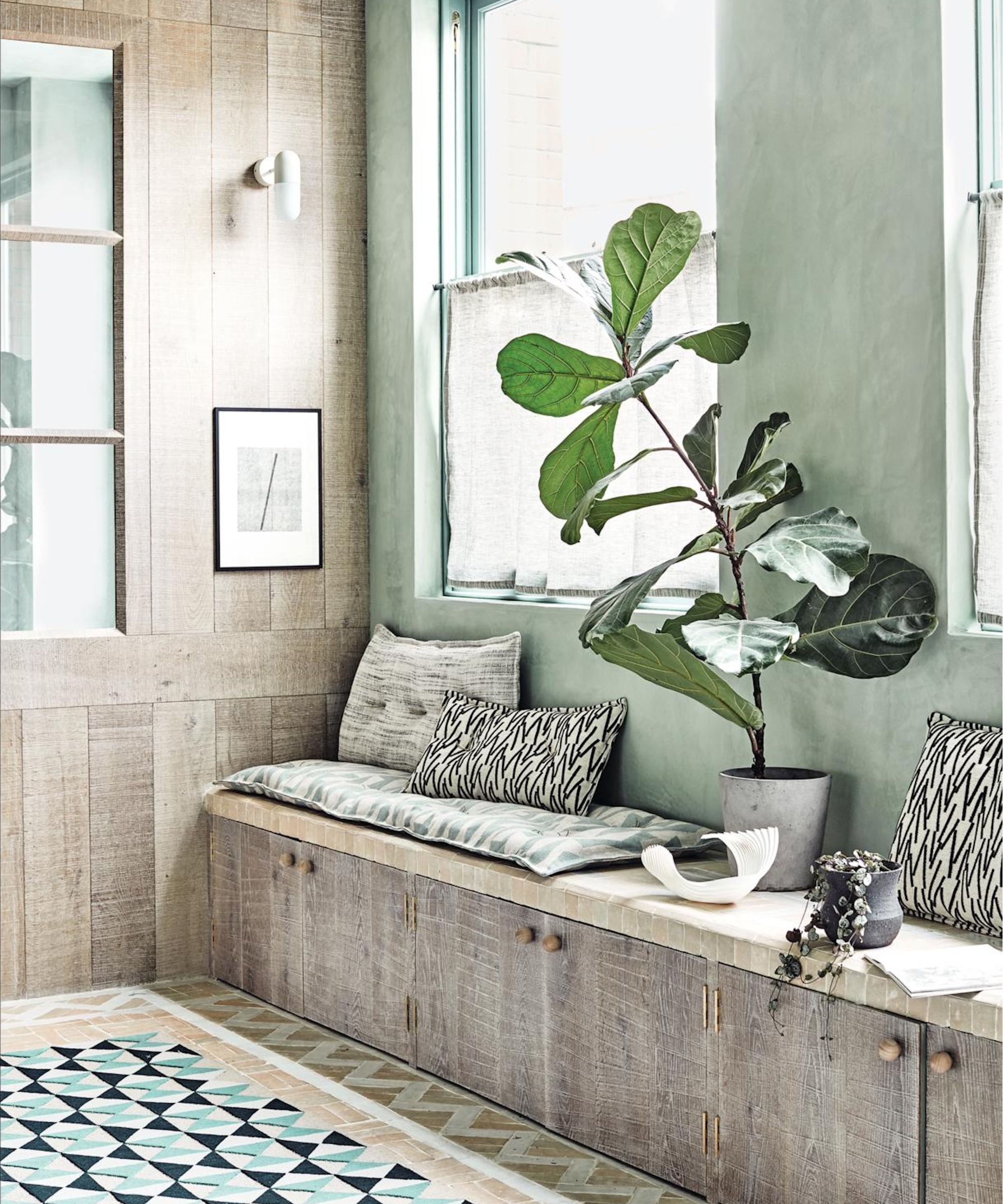 Houseplant in window