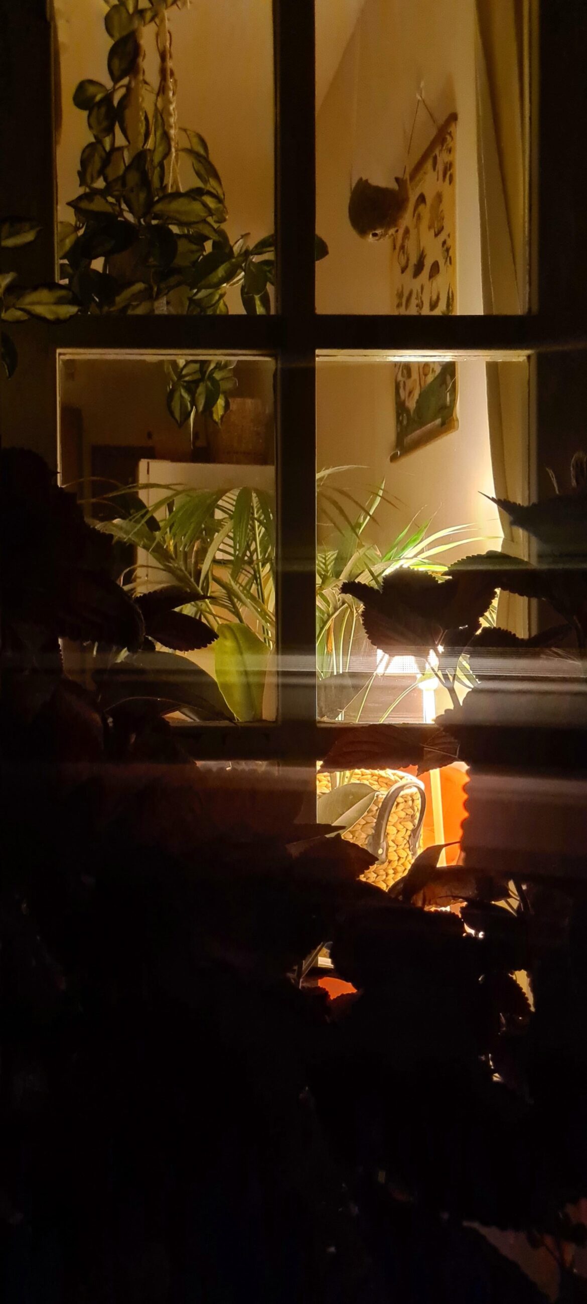 Cozy and warm inside. Dark and chilling outside.