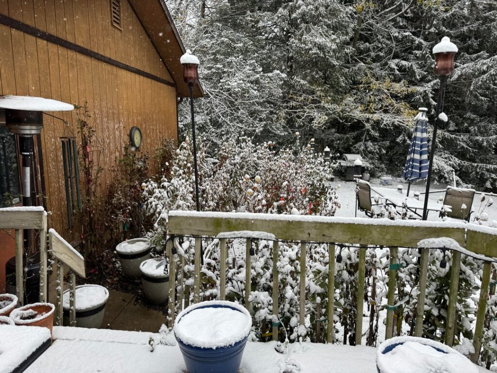 SNOW!?!?  🥶. Relax, they’ll be fine.