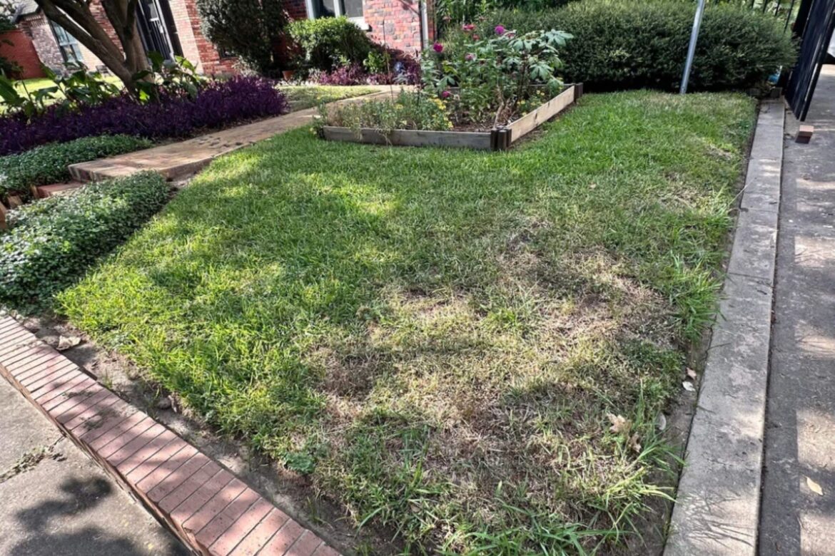 One person's front-lawn transformation has inspired the gardening community.