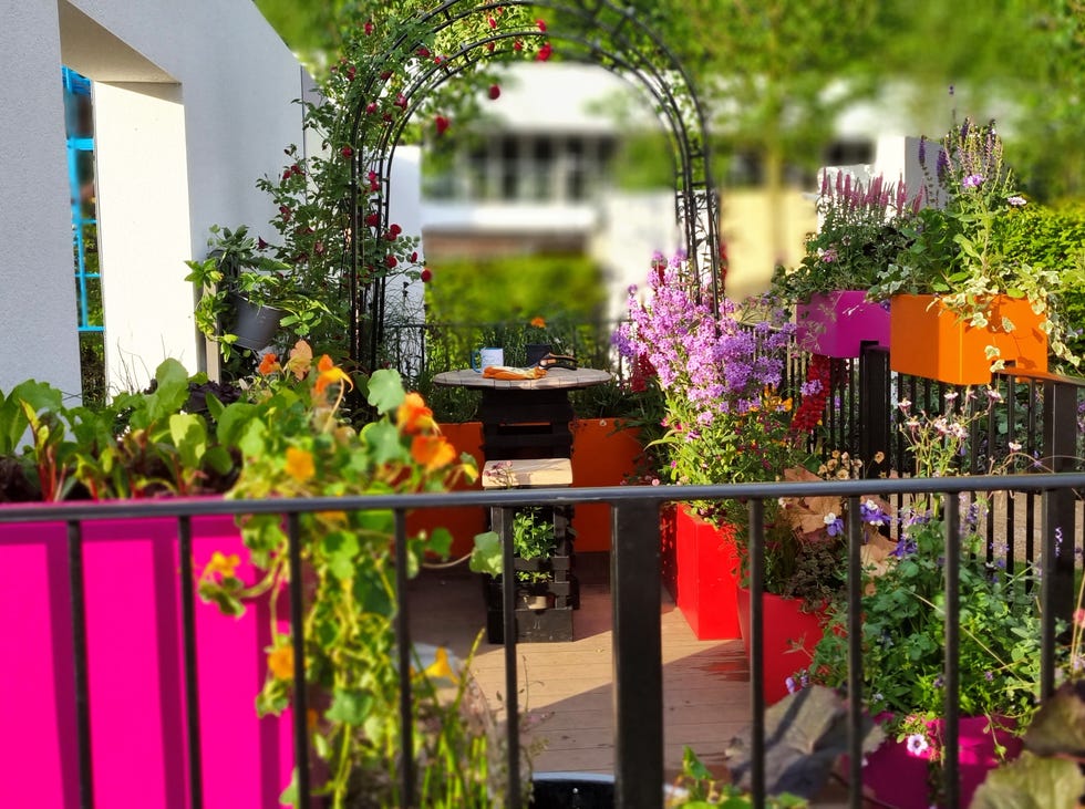 balcony garden with bright flower pots