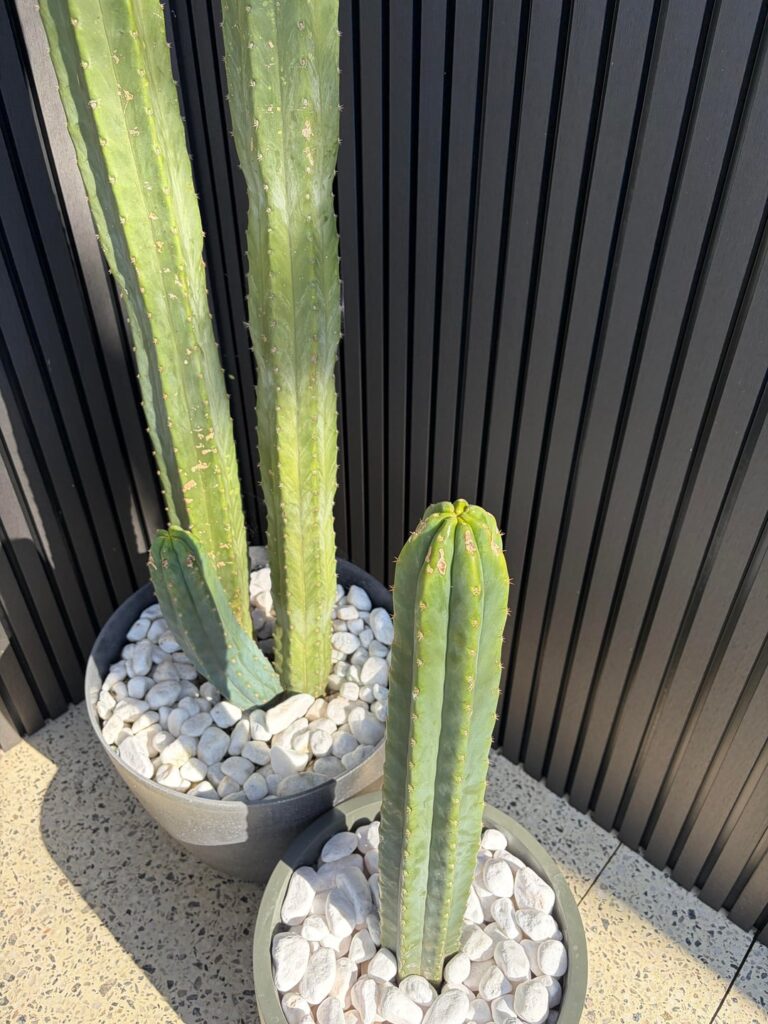 Please id- am i right?