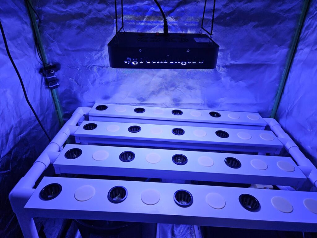 First time growing, seeking advice.. First time growing, seeking advice..