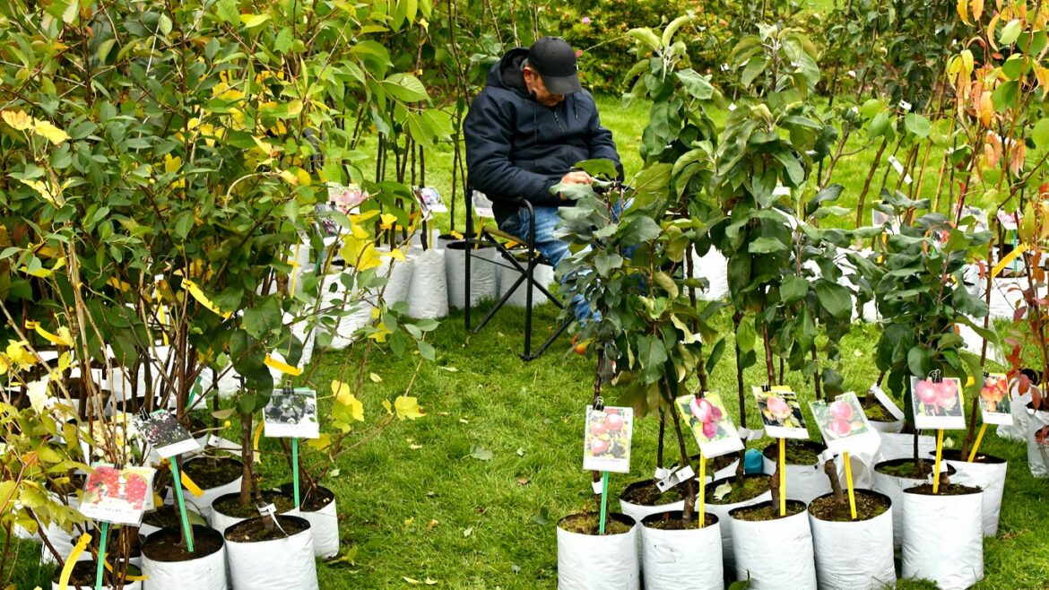 Latvian Botanical Garden to be added to Nature Conservation Agency / Article Latvian Botanical Garden to be added to Nature Conservation Agency / Article