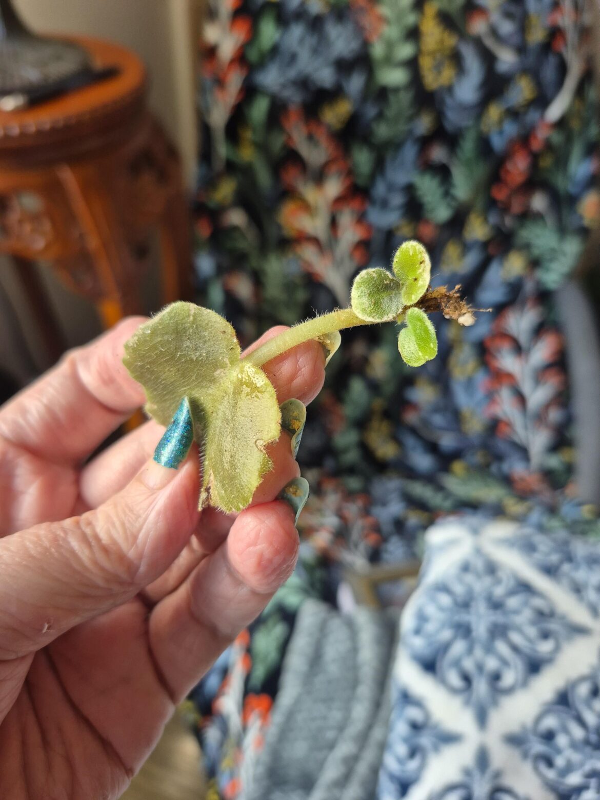Surprise prop!!
